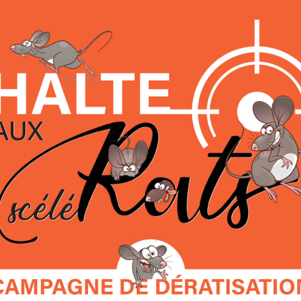 Campagne de dératisation