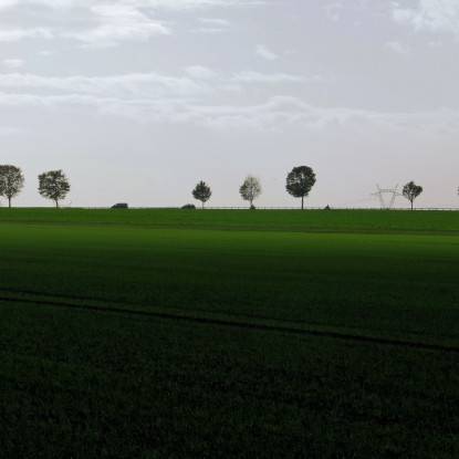 Photographie Labeurs d'Yves Michel