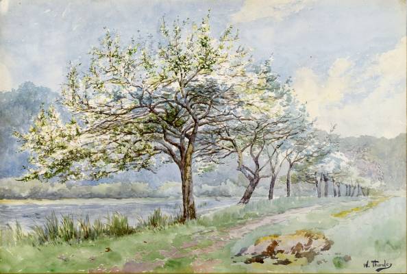 William Thornley ou l'amour des arbres