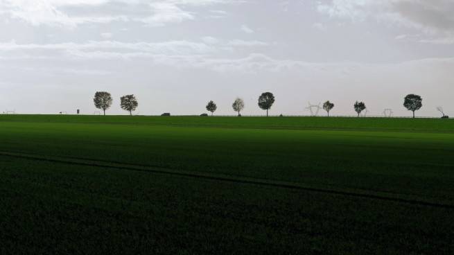 Photographie Labeurs d'Yves Michel