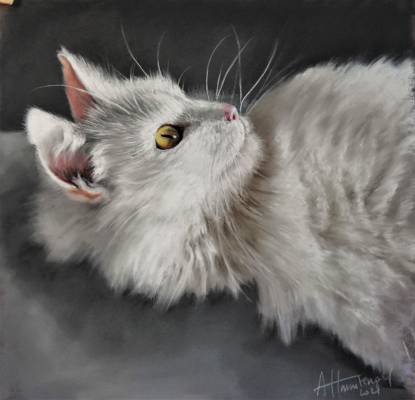 Mimaj, Anne Hamstengel