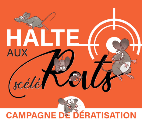 Campagne de dératisation