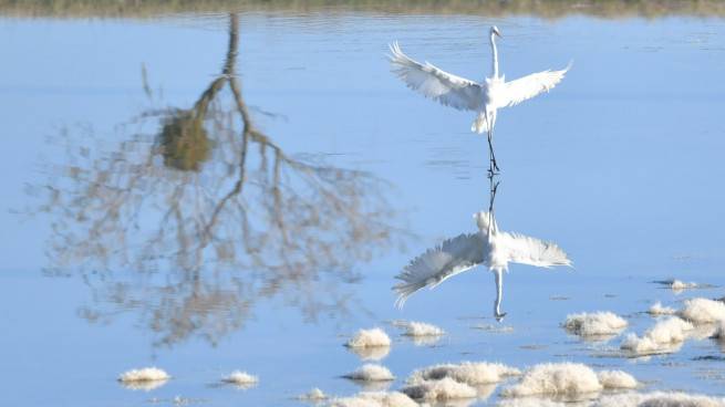 L'acrobate, de Jean-Louis Garançon