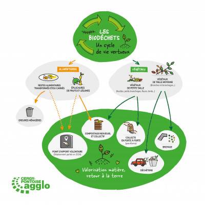Infographie biodéchets