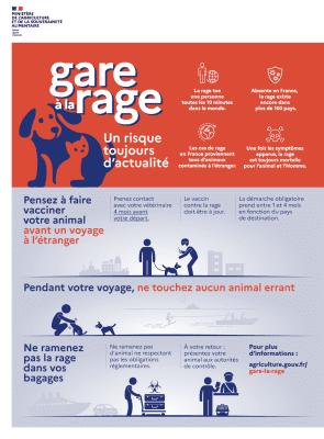 Gare à la rage infographie