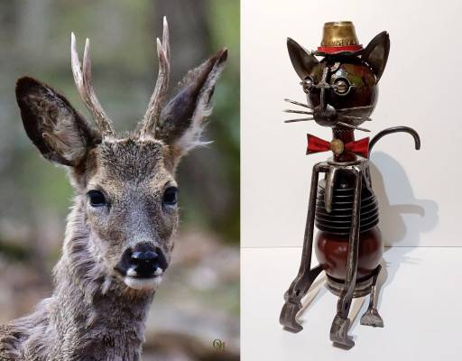 Olivier Machéo et Daniel Stier