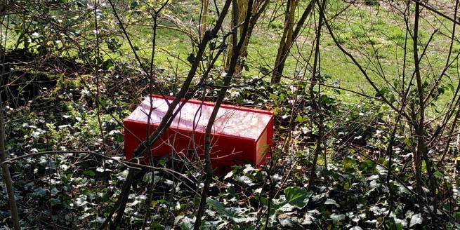 Piège à frelons asiatiques