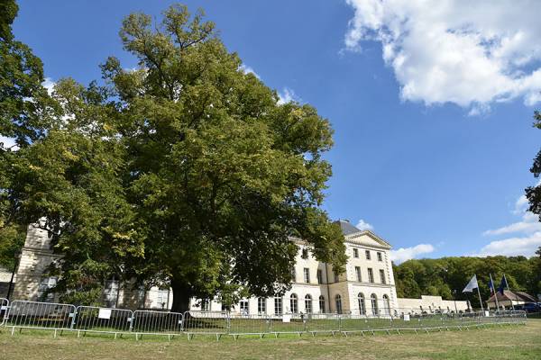 Tilleul - Parc de Grouchy