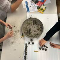 Tous au jardin : bombes à graines samedi 29 mars 2025