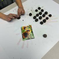 Tous au jardin : bombes à graines samedi 29 mars 2025