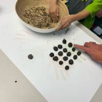 Tous au jardin : bombes à graines samedi 29 mars 2025