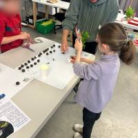 Tous au jardin : bombes à graines samedi 29 mars 2025