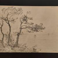 William Thornley ou l'amour des arbres