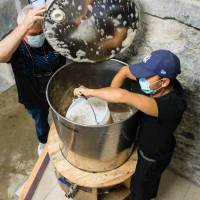 Vigne du Petit Robinson à Osny, vendanges 2020