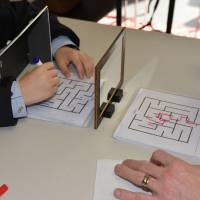 Ludik'MéMO le 5 février 2022