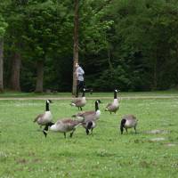 Foulées osnyssoises 8/5/23