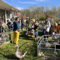 Chasse aux œufs et ferme sur le marché 31 mars 2024