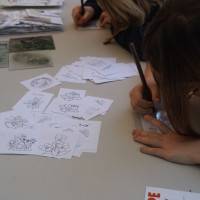 OsnyManga 25 et 26 mai 2024