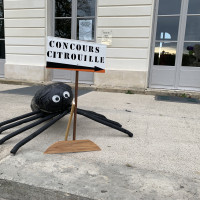 Halloween vendredi 31/10/2025