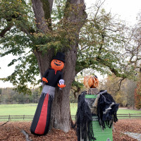 Halloween vendredi 31/10/2025