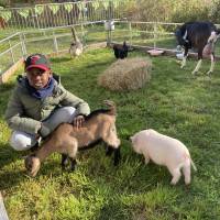 Chasse aux œufs et ferme sur le marché 31 mars 2024