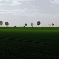 Photographie Labeur d'Yves Michel