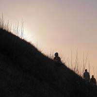 Photographie Observations invasives d'Yves Michel