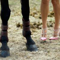 Les gambettes, Olivier Autin