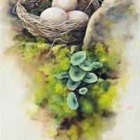 Corinne Poplimont, Future naissance