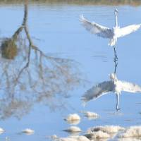 L'acrobate, de Jean-Louis Garançon