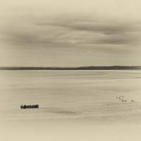 Marrée basse au Mont-Saint-Michel