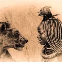 Les lionnes de Thierry Giovannoni