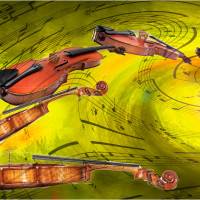 Violons, de Thierry Giovannoni