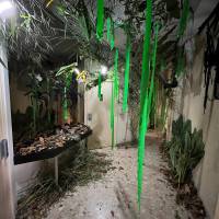 Halloween 30 oct 2022