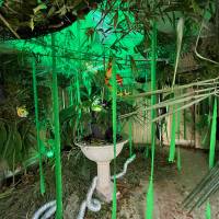 Halloween 30 oct 2022