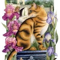 Bernard Vercruyce - L'iris du château d'Auvers