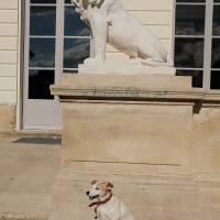 Concours photos  JEP 2022 - Catégorie insolite - MMe DAIKHA