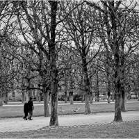 La promenade, de Jean-Jacques Monot