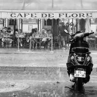 Nataliia Mykhalchuk, Café de Flore
