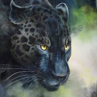 Corinne Poplimont, Panthère noire