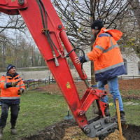 Plantation nouveau tilleul - 21 novembre 2025