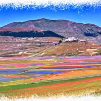 Annie Régnier, Les ruches