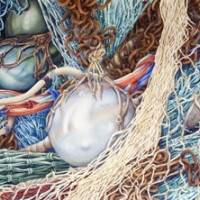 Corinne Poplimont, Retour de la pêche