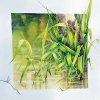 Corinne Poplimont, Rivière au printemps