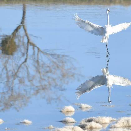 L'acrobate, de Jean-Louis Garançon