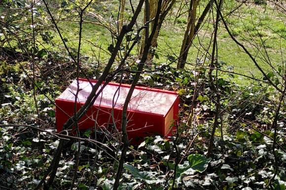 piège à frelons asiatiques